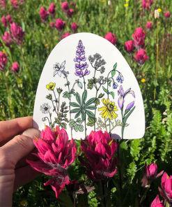 STICKER ART-sticker-wildflowers sticker-470157 2