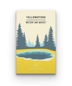 WILDSAM FIELD GUIDES–yellowstone national park-WS-YELLOWSTONE 2