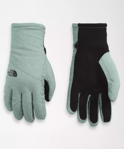 THE NORTH FACE-glove-womens shelbe raschel etip glove-NF0A888R