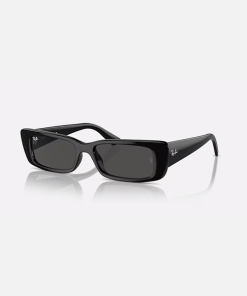 RAYBAN–teru black w/ dark grey-RB4425-667787 2