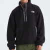 THE NORTH FACE–mens extreme pile pullover 2-NF0A88Y6 3