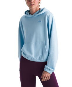 THE NORTH FACE-hoodie-womens better terry hoodie-NF0A88ZS 2