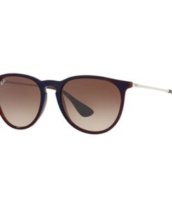 RAYBAN–erika brown guard 54-RB4171-631513 2