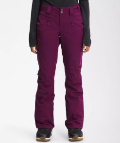 THE NORTH FACE–womens lenado pant-NF0A4R1I