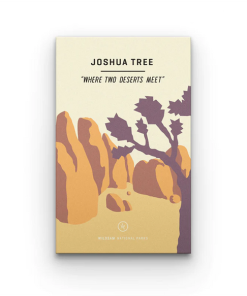 WILDSAM FIELD GUIDES–joshua tree national park-WS-JOSHUATREE 2