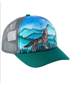 SUNDAY AFTERNOONS–kids artist series trucker cap in lone wolf-S3D04838 2