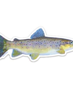 Wild Lettie–brown trout sticker -BROWNTROUT 2