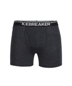 ICEBREAKER–mens anatomica boxers w fly-103030 2