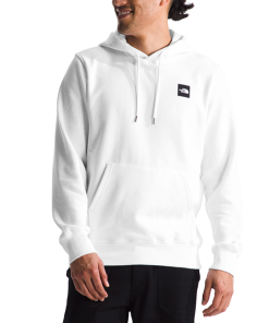 THE NORTH FACE–mens box logo hoodie -NF0A8APS 2