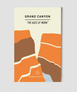 WILDSAM FIELD GUIDES–grand canyon field guide-WS-GRANDCANYON 2