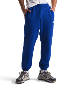 THE NORTH FACE–mens core sweatpant-NF0A890V