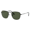 RAYBAN–erika brown guard 54-RB4171-631513 4