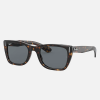 RAYBAN–oval sunglasses with arista frame and green lens- 4