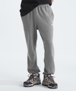 THE NORTH FACE–mens core sweatpant-NF0A890V 2