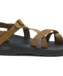 Chaco–mens zcloud 2 in aerial bronze-JCH108383 2