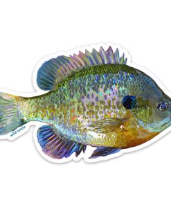 Wild Lettie–bluegill sticker -BLUEGILSTICKER 2