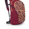 OSPREY PACKS–daylite plus umber/tequila sunrise-10006071 4