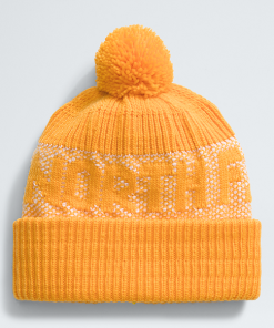 THE NORTH FACE–retro cabin beanie-NF0A88QW 2