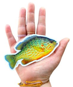 Wild Lettie-sticker-sunfish sticker-SUNFISH 2