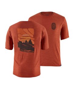 PATAGONIA-cap-patagonia mens cap cool daily graphic shirt-45235 2